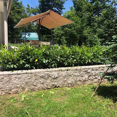 Mountain House Ivanova Korita Цетинє Екстер'єр фото