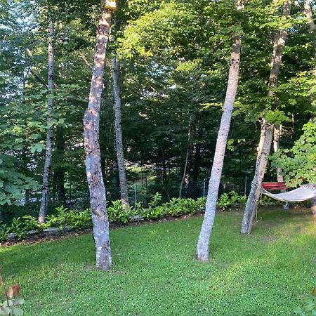 Mountain House Ivanova Korita Цетинє Екстер'єр фото